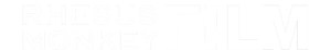 light logo